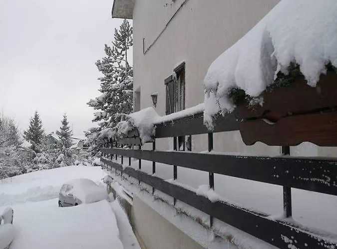 Il Pino 住宿加早餐酒店